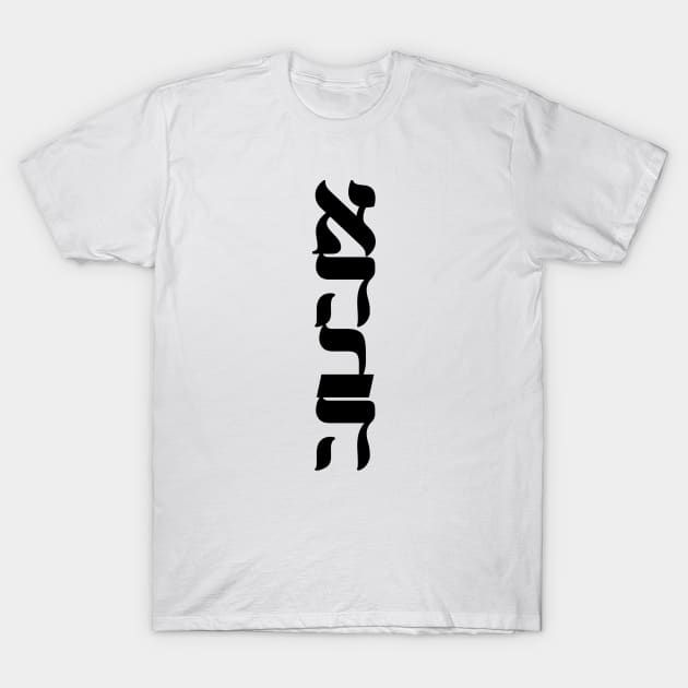 Ahava Love Nice Jewish Hanukkah Gifts T-Shirt by MadEDesigns